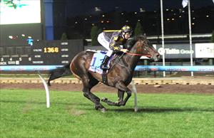 Two Sugars wins at Moonee Valley with Michael Rodd on board